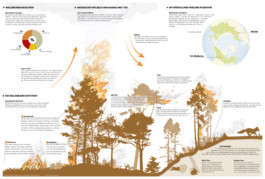 Stuttgarter Zeitung Nachrichten Neues Wochenende Infografik Waldbrände 