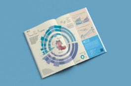 Jana Evers – Infografik & Design