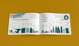 Jana Evers – Infografik & Design