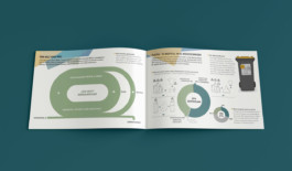 Jana Evers – Infografik & Design