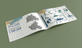 Jana Evers – Infografik & Design