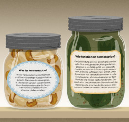 Jana Evers – Infografik & Design