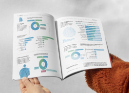 Jana Evers – Infografik & Design