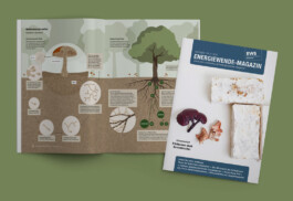 Jana Evers – Infografik & Design