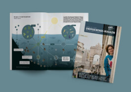 Jana Evers – Infografik & Design