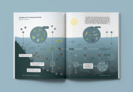 Jana Evers – Infografik & Design