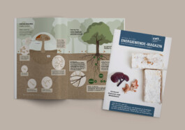 Jana Evers – Infografik & Design