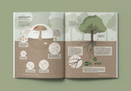 Jana Evers – Infografik & Design