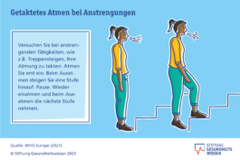 Jana Evers – Infografik & Design