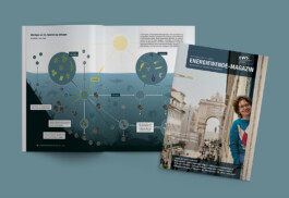 Jana Evers – Infografik & Design