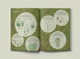 Jana Evers – Infografik & Design