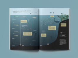 Jana Evers – Infografik & Design