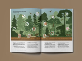 Jana Evers – Infografik & Design