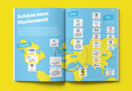 Jana Evers – Infografik & Design