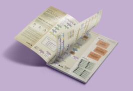 Jana Evers – Infografik & Design